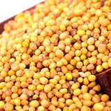 Mustard-Wasabi-Seeds