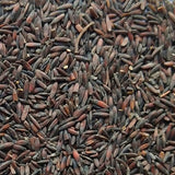 Myosotis Alpestris & Statice Seeds