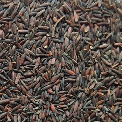 Myosotis Alpestris & Statice Seeds