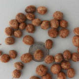 Myrica rubra & Bayberry Seeds