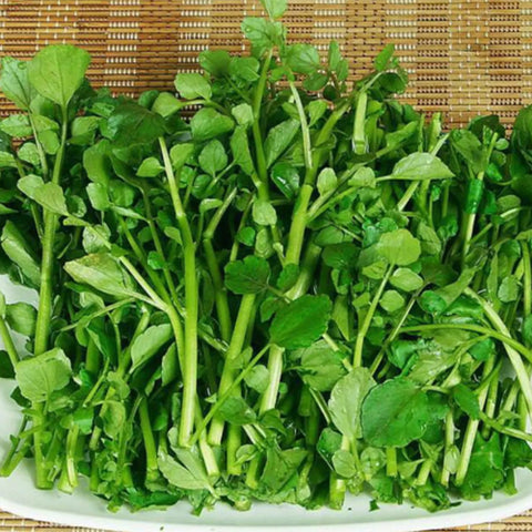 Nasturtium-Officinale-Watercress-Seeds