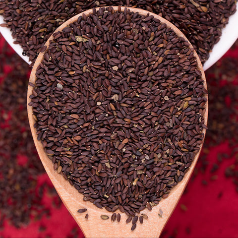 Nepeta cataria & Catnip Seeds