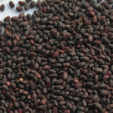 Ocimum-Basilicum-Sweet-Basil-Seeds