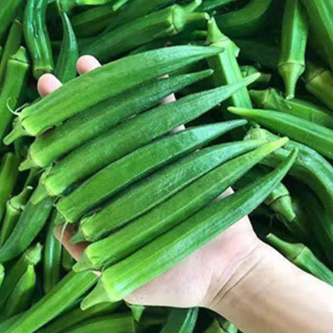 Okra Seeds