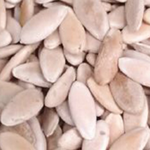 Hybrid F1 Lagenaria Siceraria & Opo Squash Seeds