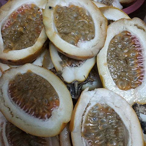 Passiflora-edulia-Papaya-Passion-Fruit-Seeds