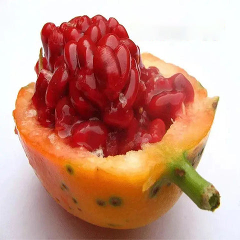 Passiflora-edulia-Red-meat-passion-fruit-Seeds