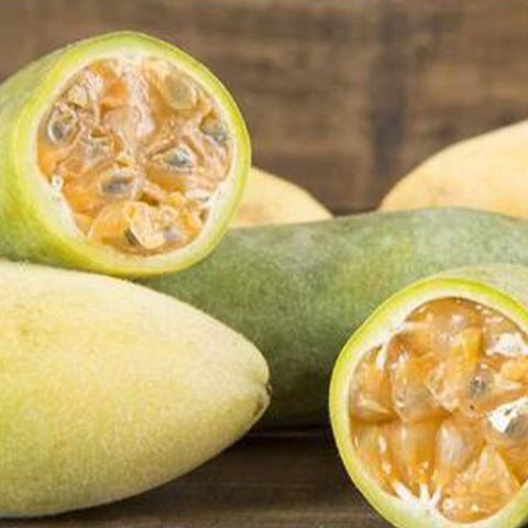 Passiflora-tarminiana-Banana-passionfruit-Seeds