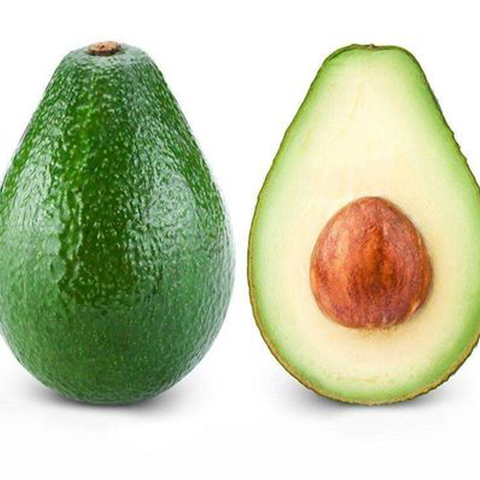 Persea americana & Avocado Seeds