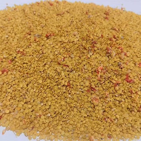 Physalis-peruviana-Red-Cape-gooseberry-Seeds