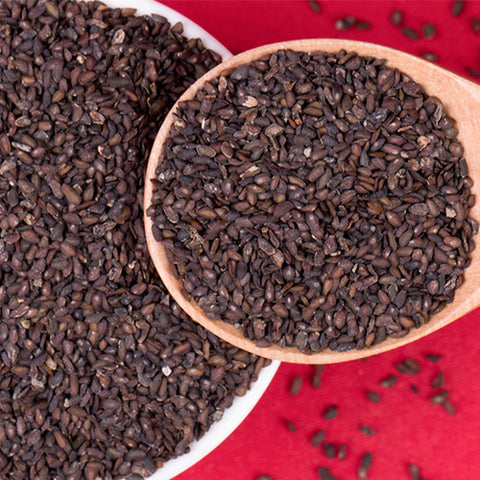 Plantago asiatica & Plantaginis Seeds