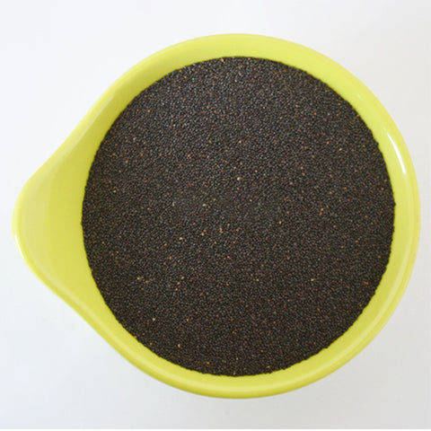 Plectranthus-Scutellarioides-Coleus-Seeds