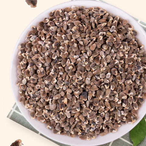 Polygala-tenuifolia-Polygalae-Seeds