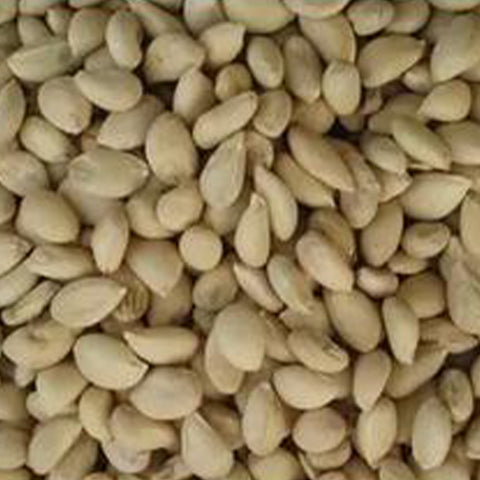 Poncirus trifoliata & Trifoliate orange Seeds