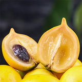 Pouteria-caimito-Abiu-Seeds