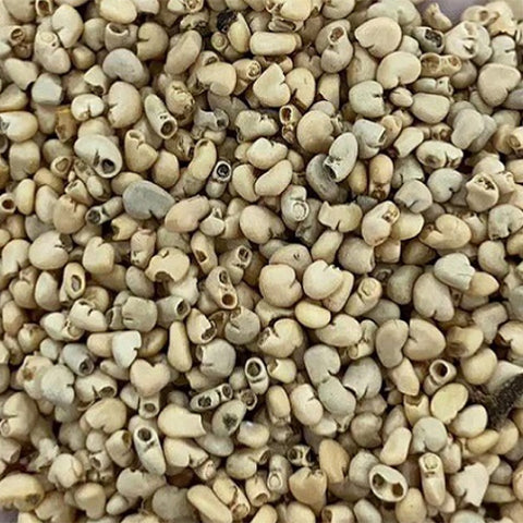 Psidium-guajava-Red-heart-guava-Seeds