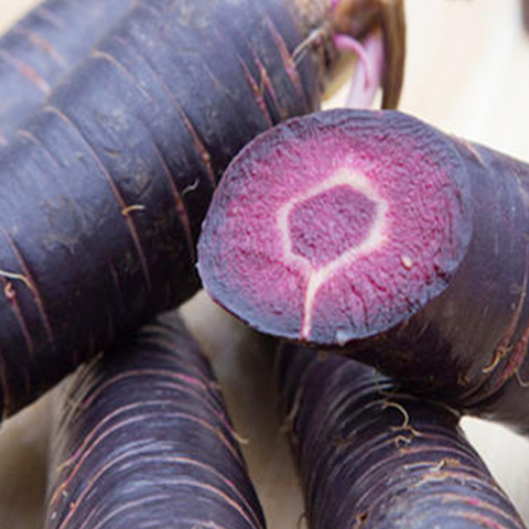 Purple Carrot Seeds