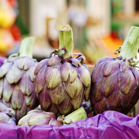 Purple-Cynarascolymus-Artichoke-Seeds