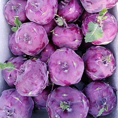 Purple Kohlrabi Seeds