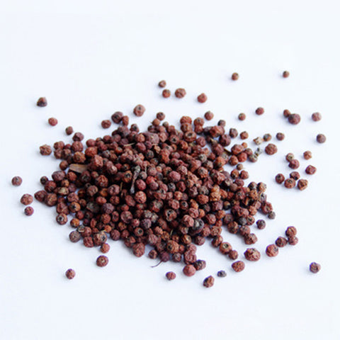 Pyracantha-fortuneana-Chinese-firethorn-Seeds