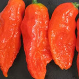 Red Devil Pepper & Chilli Seeds