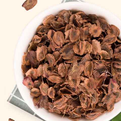 Rheum palmatum Seeds