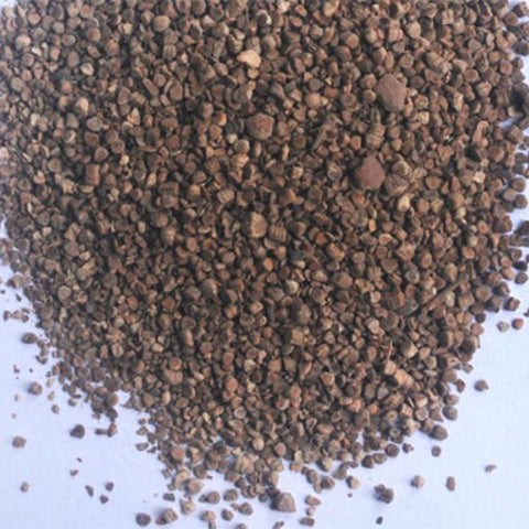 Rhodomyrtus-tomentosa-Rose-myrtle-Seeds