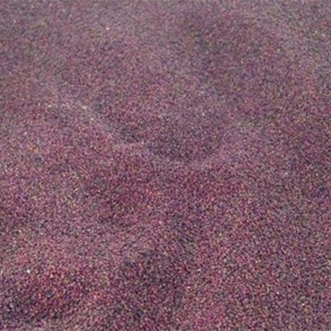 Rubus-idaeus-Red-raspberry-Seeds