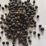 Santalum album & Indian sandalwood Seeds