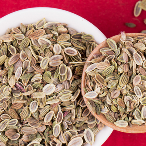 Saposhnikovia divaricata Seeds