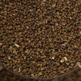 Scutellaria-barbata-Scutellariae-Seeds