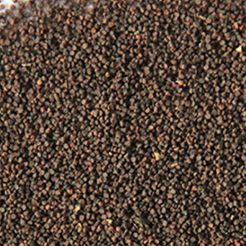 Silene Armeria Seeds