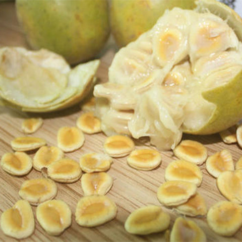 Siraitia-grosvenorii-Luo-Han-Guo-Seeds