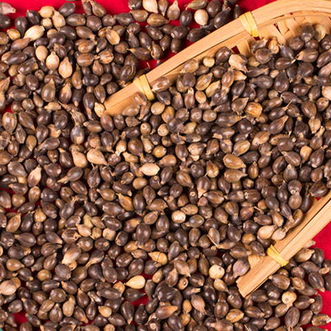 Solanum nigrum & Coicis Semen Seeds