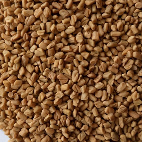 Sophora Alopecuroides & Nubuck Seeds