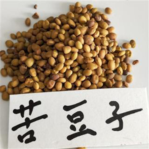 Sophora-alopecuroides-Bitter-beans-Seeds