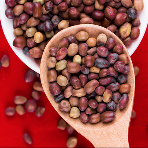Sophorae Flavescentis & Kushen Seeds