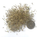 Stevia-Rebaudiana-Sweet Stevia-Seeds