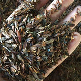 Syringa-oblata-Broadleaf-lilac-Seeds