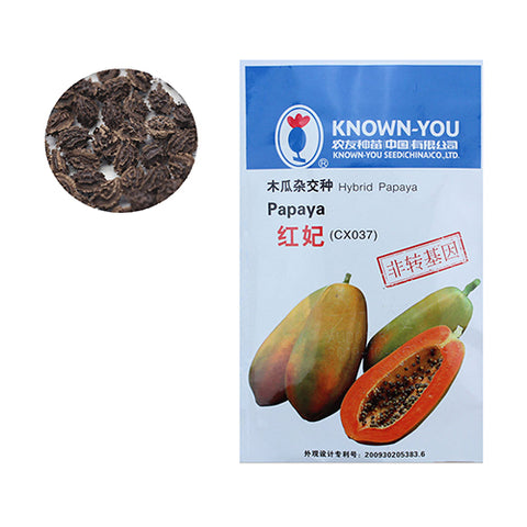 Taiwan Red Lady Papaya Seeds