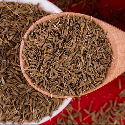 Taraxacum mongolicum & Wild dandelion Seeds