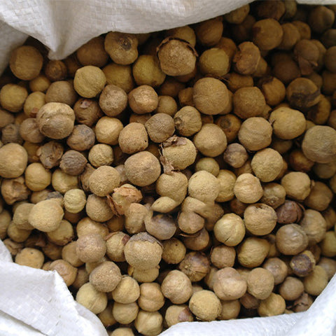 Tectona-grandis-Teak-Seeds