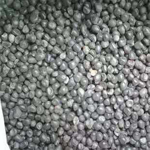 Tilia tuan & Linden tree Seeds