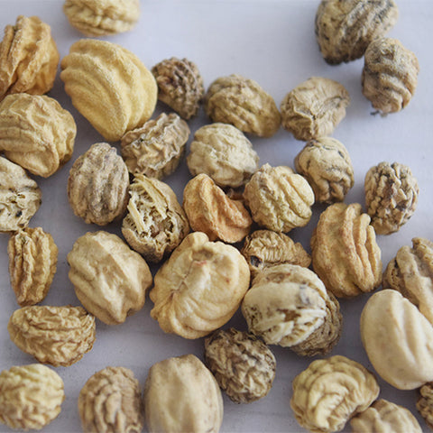 Tropaeolum-Majus-Nasturtium-Seeds