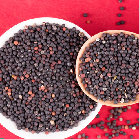 Vaccaria segetalis & Vaccariae semen Seeds