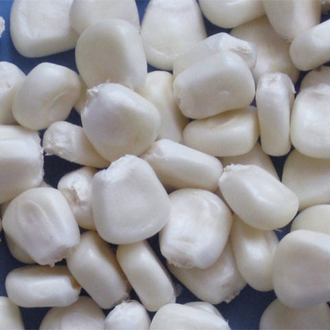 White-Waxy-Corn-Seeds