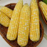 Yellow-Corn-Seeds