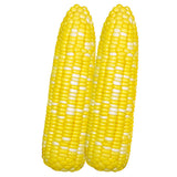 Yellow-Corn-Seeds