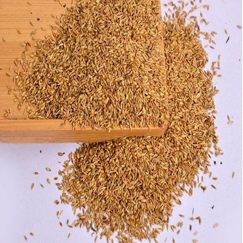 Zoysia-japonica-Korean-lawngrass-Seeds